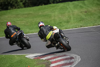 Lower Group Orange Bikes